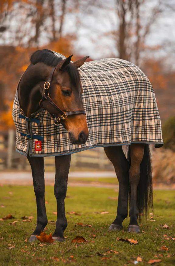 5/A® Bakerfleece Dress Sheet
