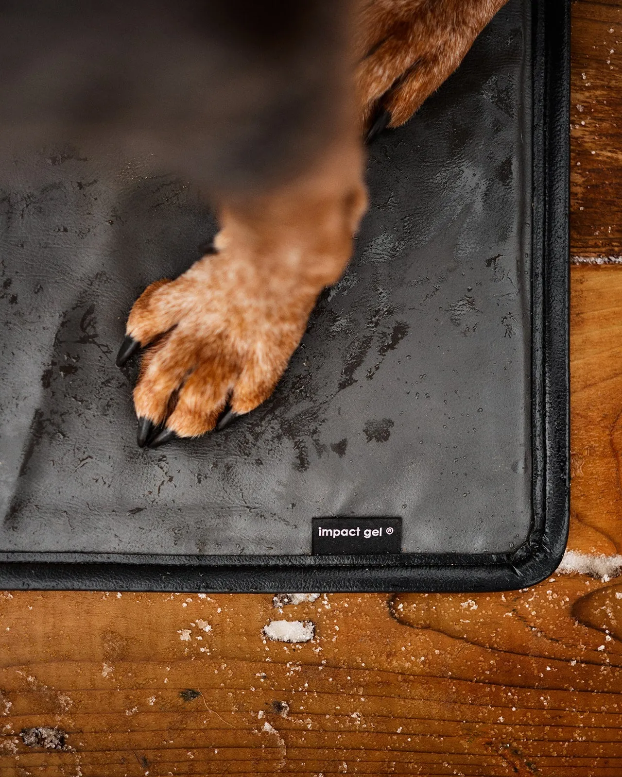IG Pet Bed