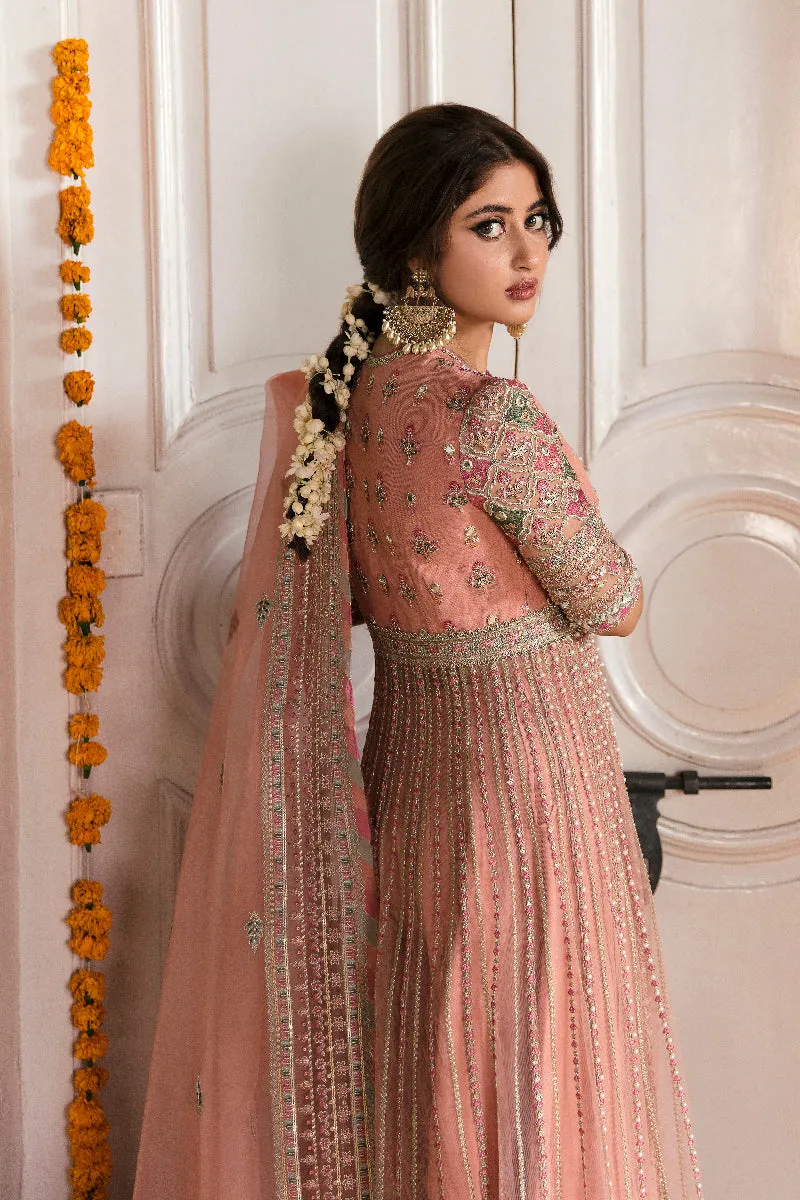 Qalamkar Khaab Luxury Festive Formals 2022 Vol-2 – NF-04 ENISA