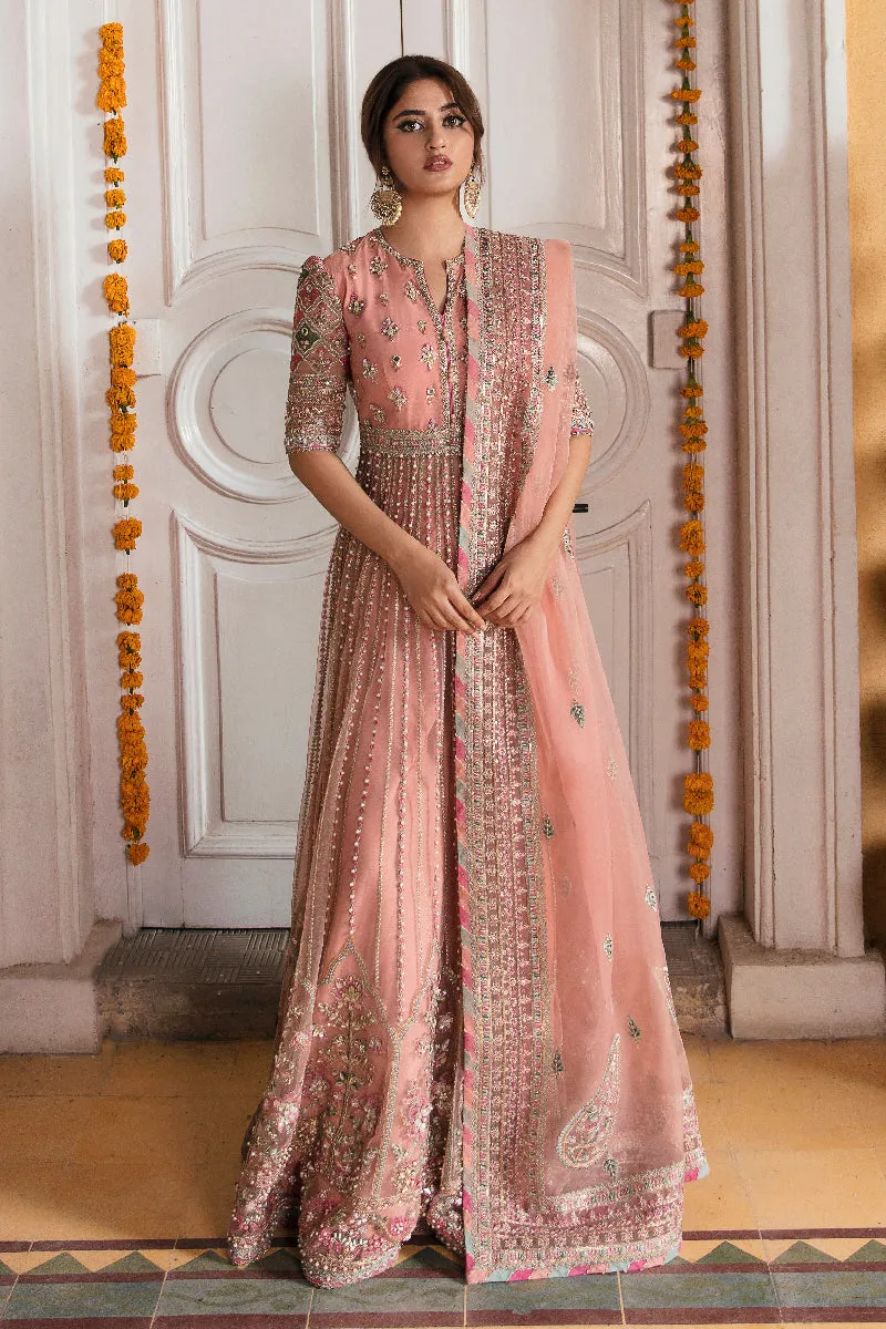 Qalamkar Khaab Luxury Festive Formals 2022 Vol-2 – NF-04 ENISA