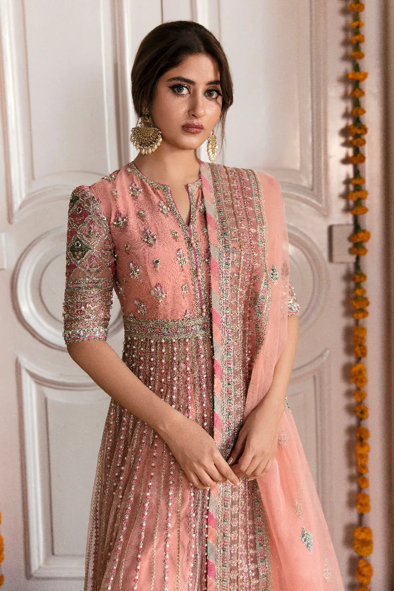 Qalamkar Khaab Luxury Festive Formals 2022 Vol-2 – NF-04 ENISA
