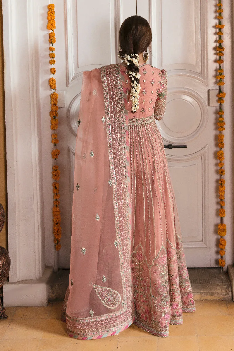 Qalamkar Khaab Luxury Festive Formals 2022 Vol-2 – NF-04 ENISA