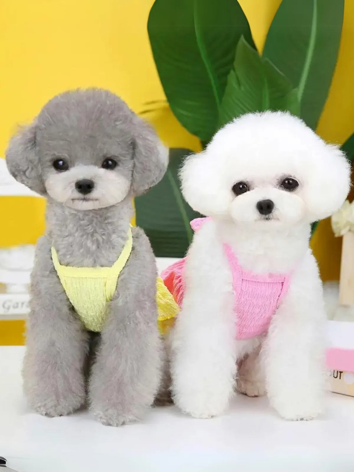 Summer Comfortable Breathable Layered Hem Bowknot Dog Dress