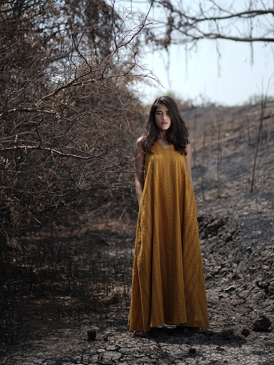 Sunflower Fields
