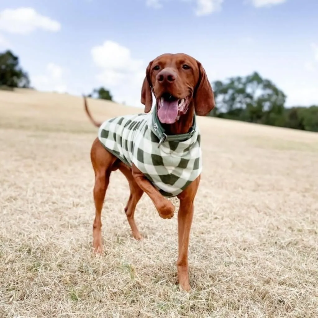 The Floofy Fleece Dog Coat | Green Gingham