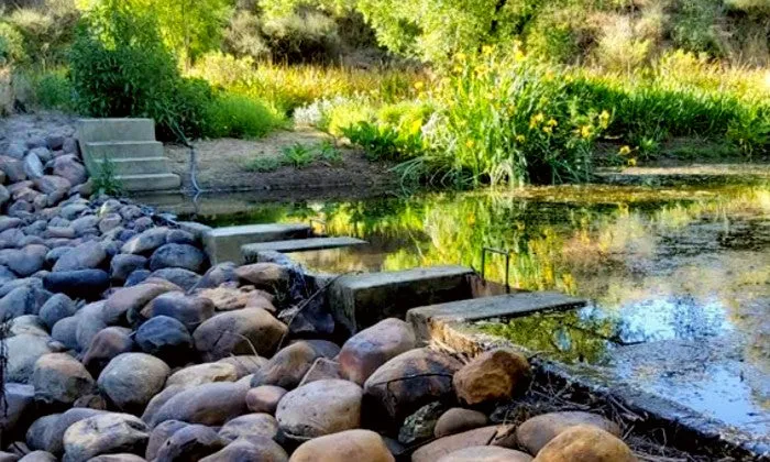 Western Cape: 2 or 3-Night Stay for Two in a Luxury Safari Tent at Villa Tarentaal